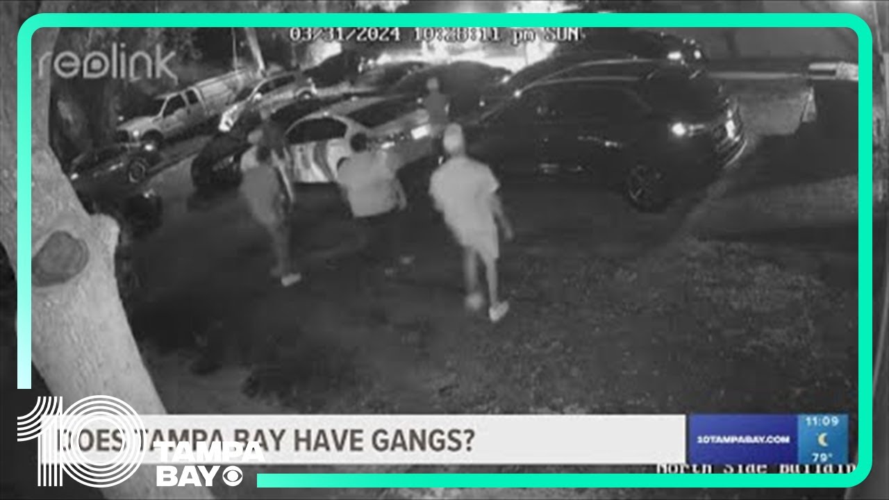Does the Tampa Bay area have gangs?