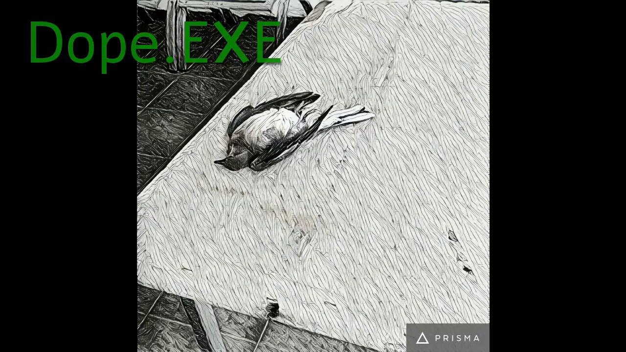 Dope.EXE