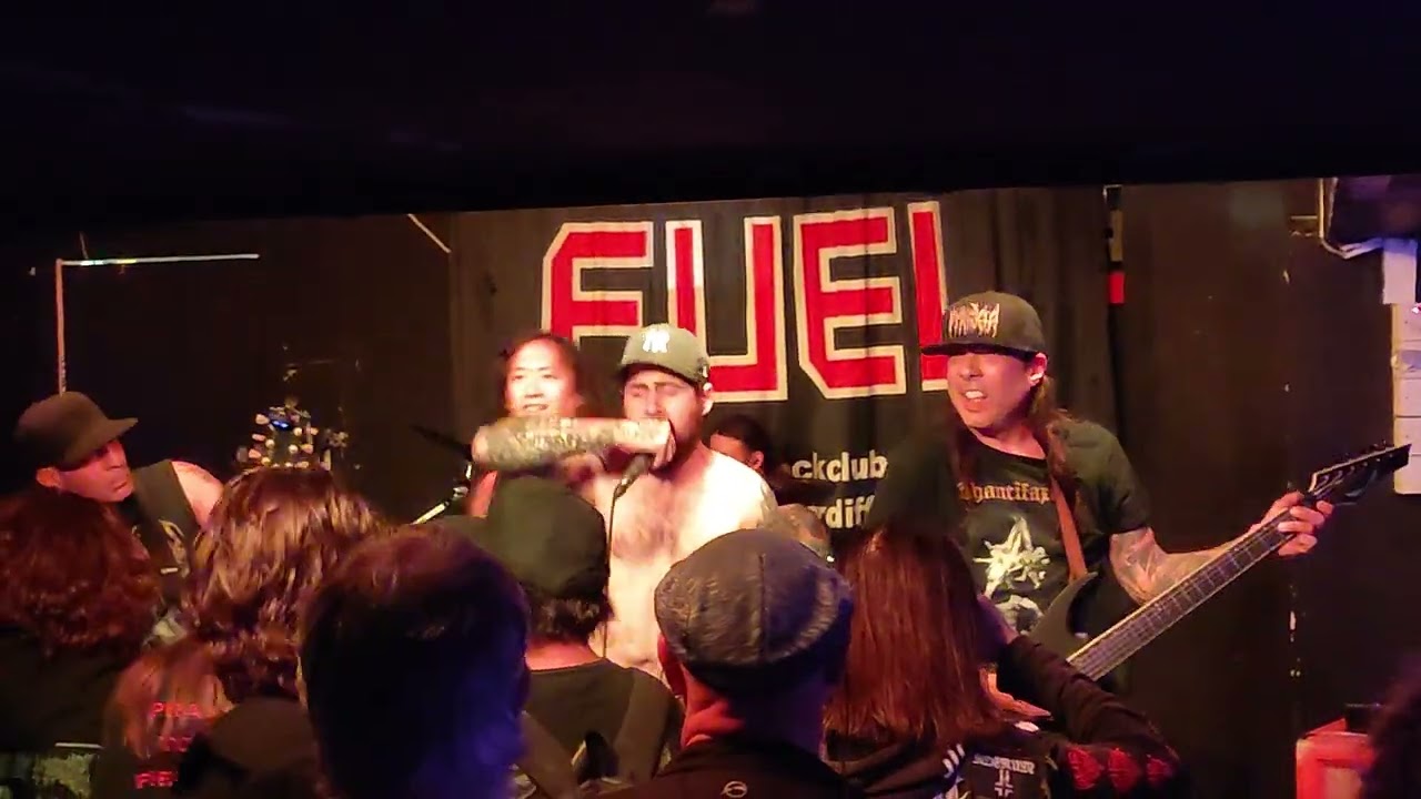 Pyrexia , Fuel Cardiff 20.8.25