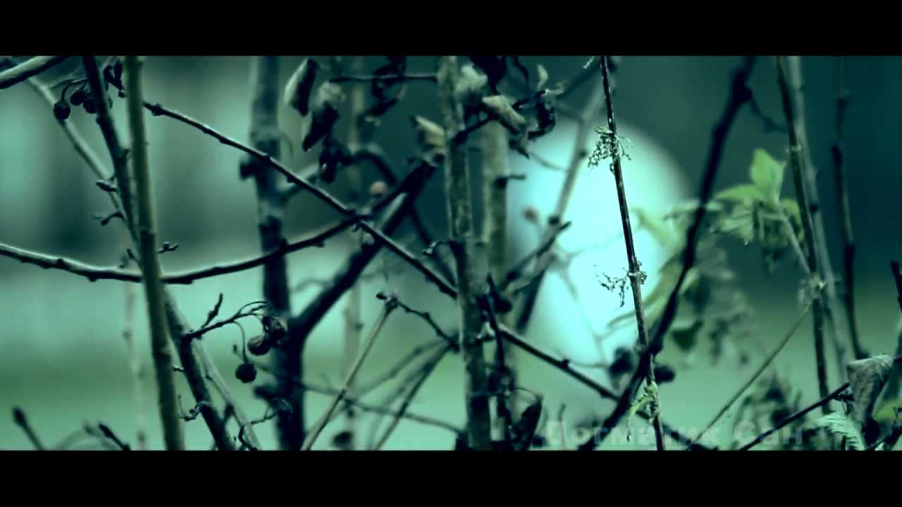 МЭРС / ДОГМАТИК САН / ZIMIN BEATZ - Доктор Больного Времени