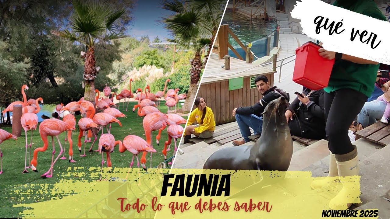 FAUNIA: ¡Más que un Zoo! Animales nocturnos, el Pabellón del Veneno y Lémures en Madrid