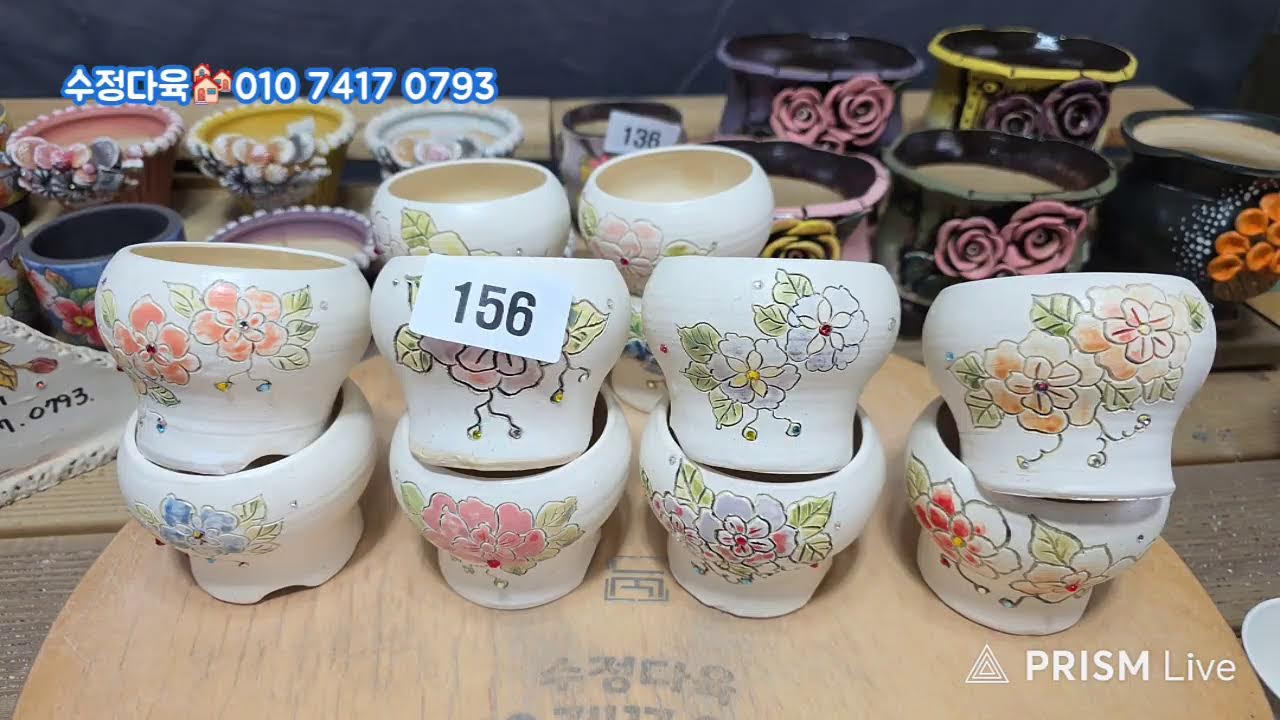 여주분 수입분 50% 할인판매 #라이브 방송 1월 22일 #수정다육 010.7417.0793 #다육식물 #화분 #수제화분 #키핑 #에오니옴 #코노피튬 #라울