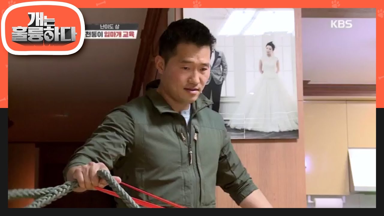 [폭풍전야] 강 훈련사, 리드 줄로 천둥이 포박 시도!!  [개는 훌륭하다/Dogs Are Incredible] 20200601