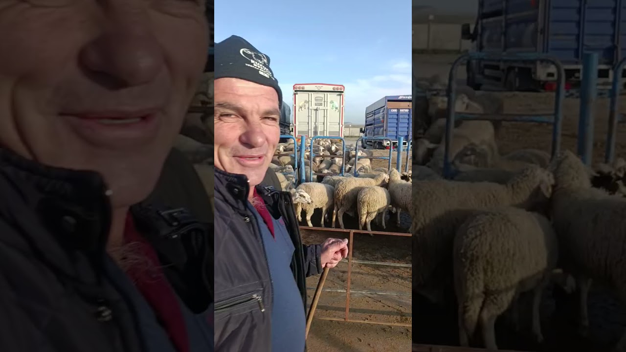 5 mart Afyon Çayırbağ hayvan pazarı YouTube Kuzucu isa olarak takip Edip abone olabilirsiniz 