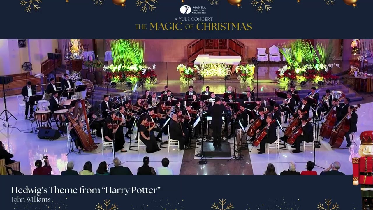 MSO | Hedwig’s Theme from “Harry Potter”