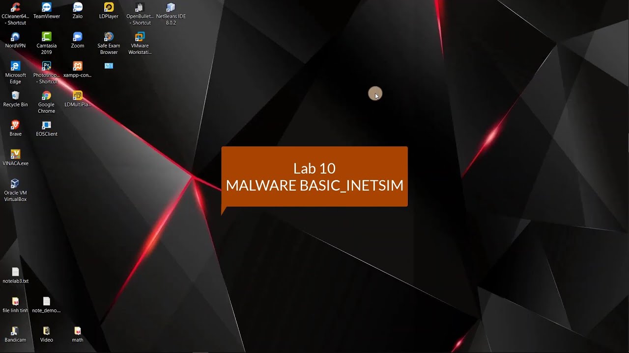 Lab10-IAM302_ReverseEngineering Malware Basic Inetsim