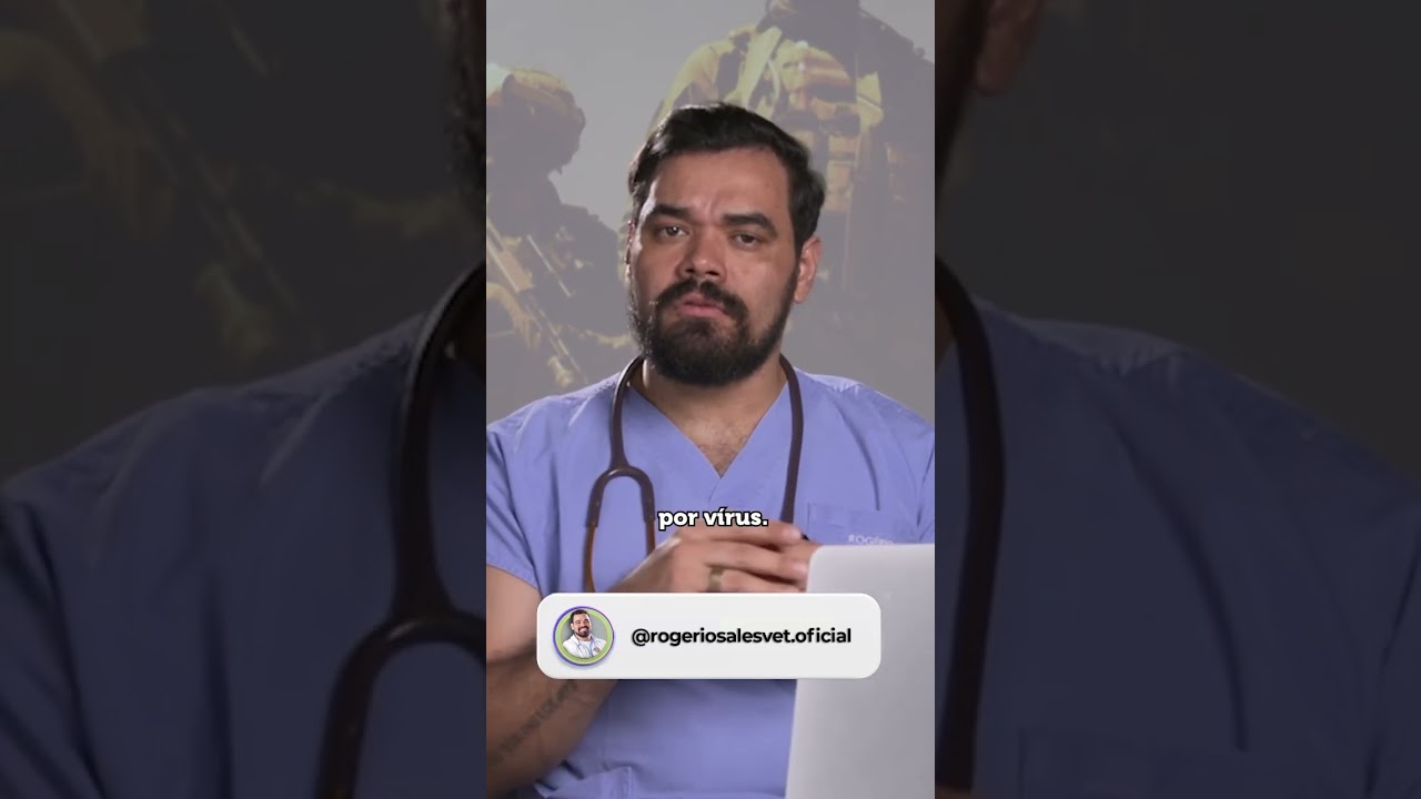 Os leuc&oacute;citos, conhecidos como gl&oacute;bulos brancos, s&atilde;o c&eacute;lulas respons&aacute;veis pela defesa do organismo.