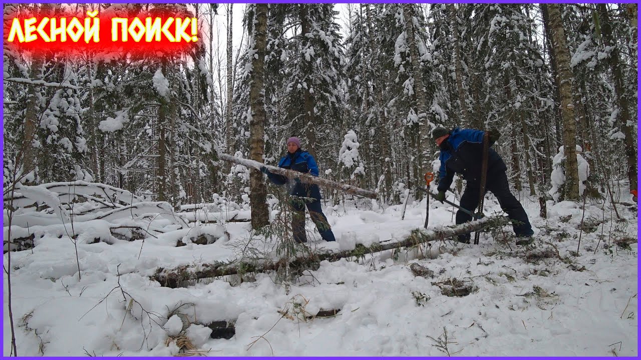ВЫВОЗИМ ИЗ ЛЕСА МЕТАЛЛОЛОМ! РЕЗУЛЬТАТ НАС ПОРАДОВАЛ!