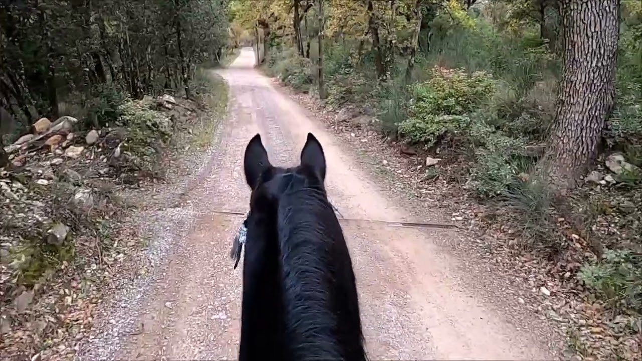 Marina DELVIL - Etalon Noir KA NOON REJ - Haras La Colombiere - Rando Solo Massif Maures - Provence