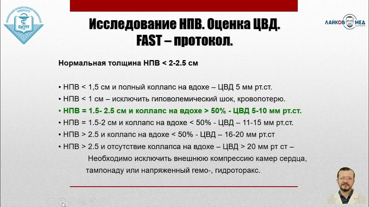 УЗИ аорты и нижней полой вены, Часть 2 / Лайков Алексей Владимирович - врач УЗИ, к.м.н.