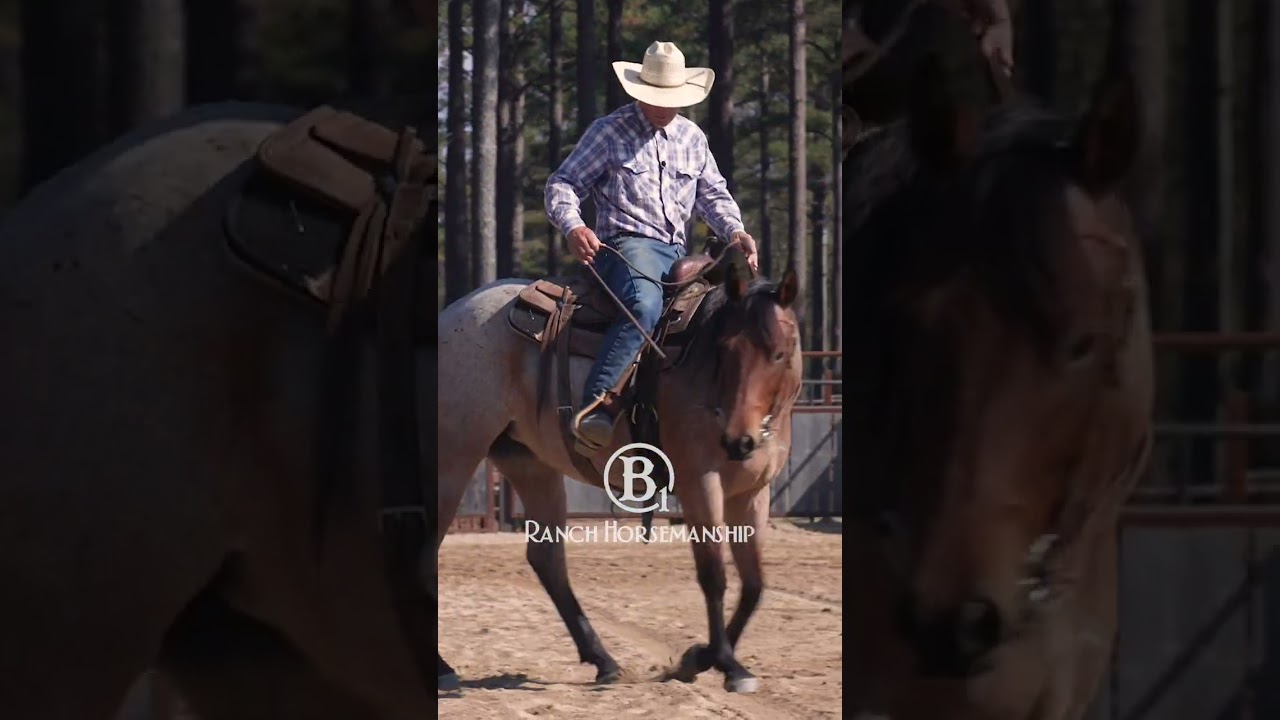 How to Use Your Legs to Teach a Horse to Neck Rein 1