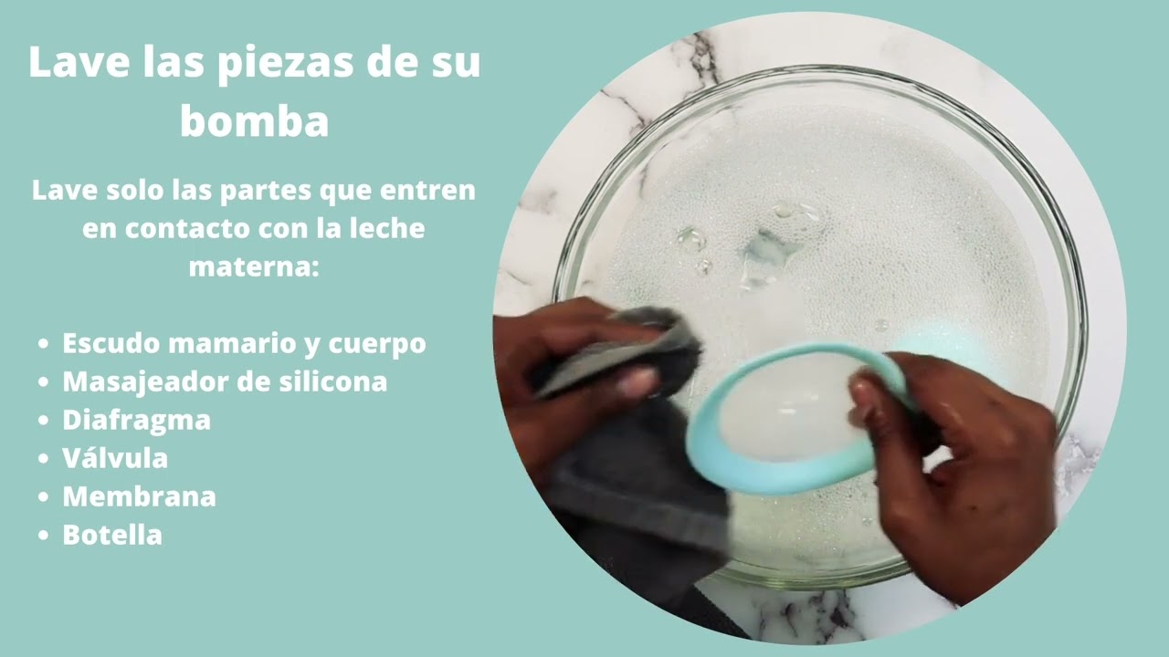 Como Utilizar Extractor De Leche Zomee Z2 (How to use)