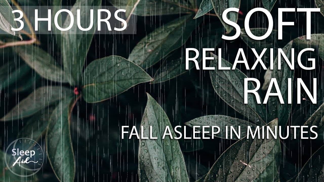 DIGITAL WINDOW - 3 Hours of Rain falling on leaves for Relaxing, Sleep, Meditation and Spa ~4