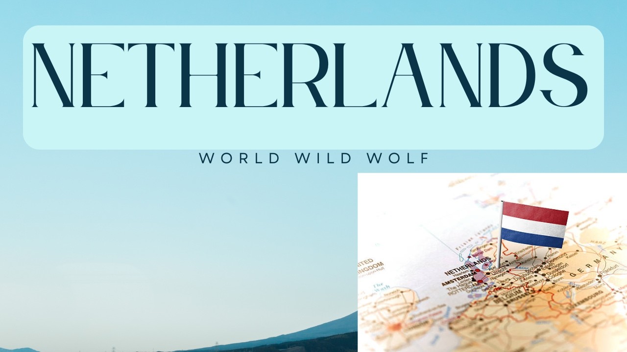 #NETHERLANDS#redditstories#stories#reddit#story#storytale#world#travel#geography#facts#worldwildwolf