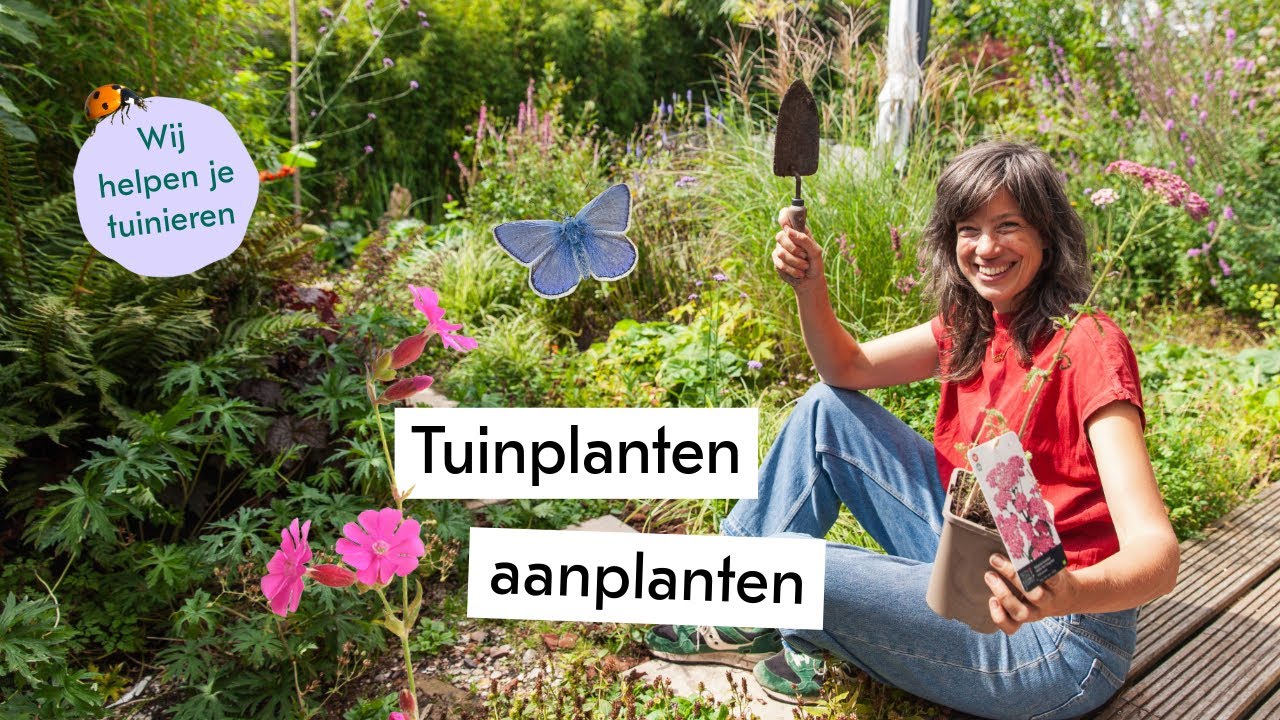 Hoe plant je een tuinplant? Zo doe je dat! 🧤