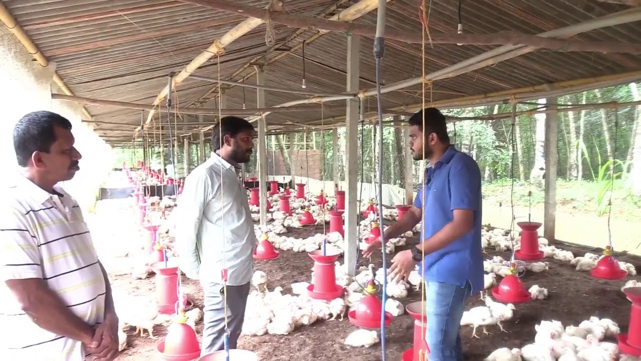 Broiler chicken farming is one of the most profitable livestock business in Karnataka