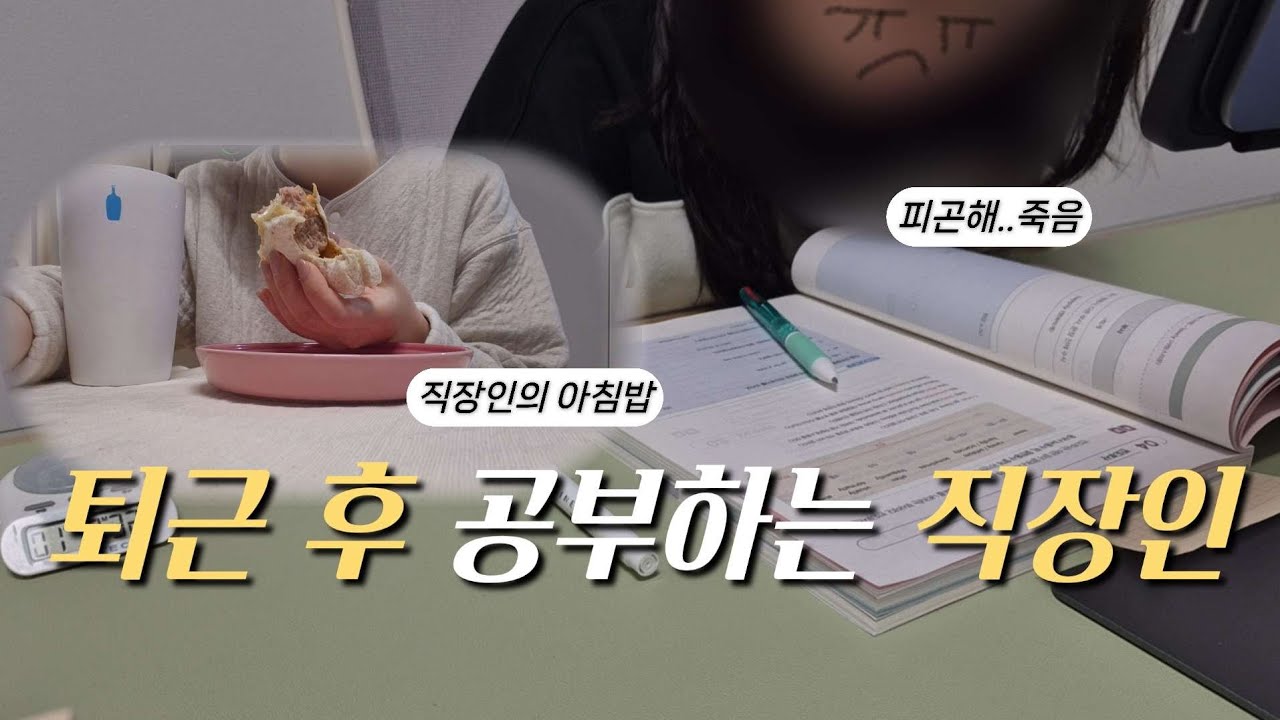 @imsodimi [직장인의 현실 공부브이로그] 그만 졸고 싶다..졸음과 싸우는 직장인 | 만약에우리 | 직장인의 간단한 아침밥 | 아는변호사 공부법 | 자기계발브이로그 