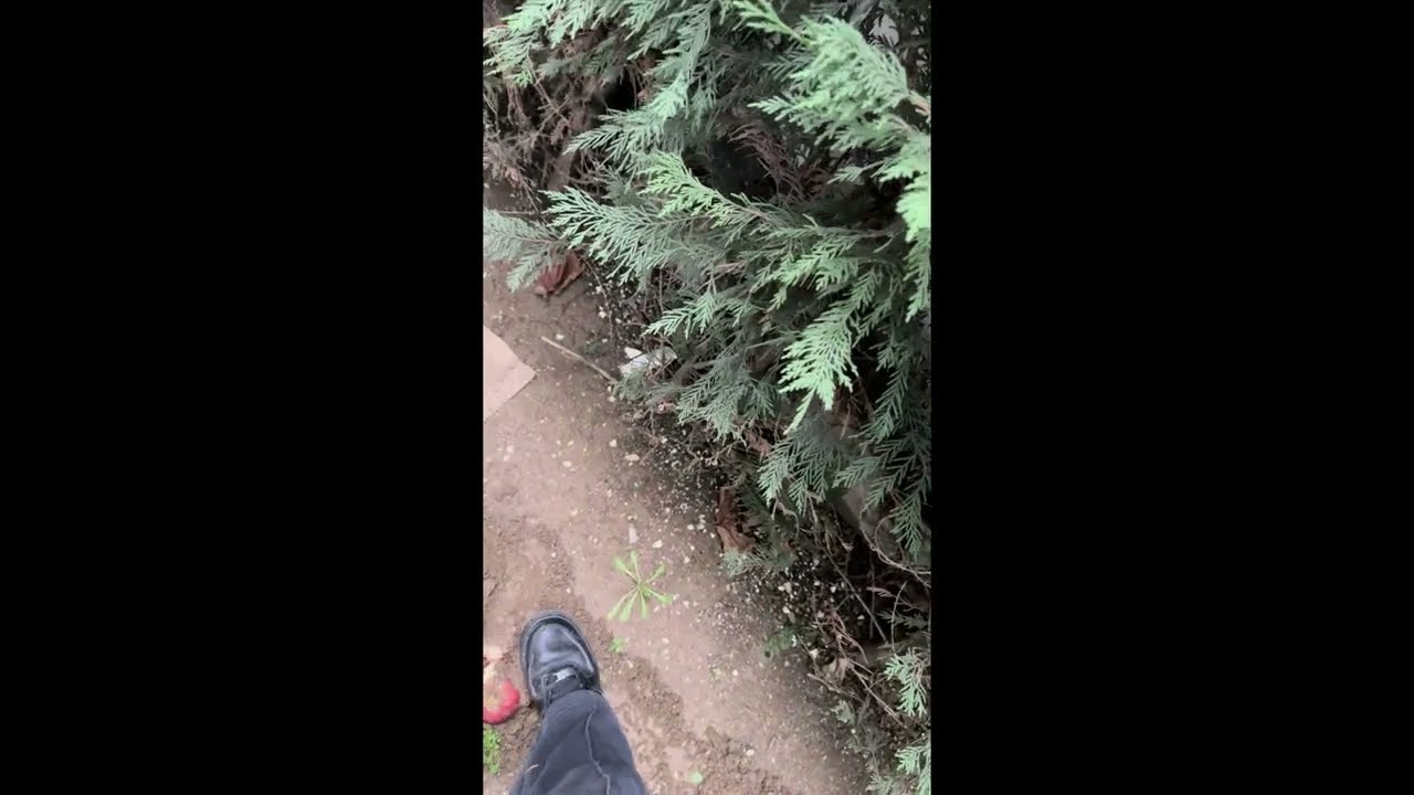crushing apple with Muddy af1
