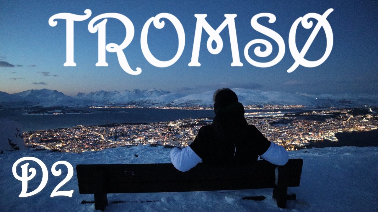 Tussen Bergen & Noorderlicht Met Een Rendier worst / Tromso Deel #2