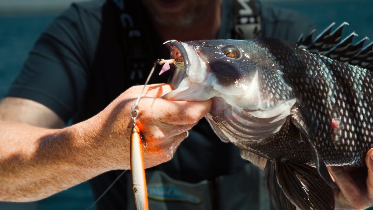 How To: Jigging | Black Seabass | No Bait #hogylures #fishing #fishinggear