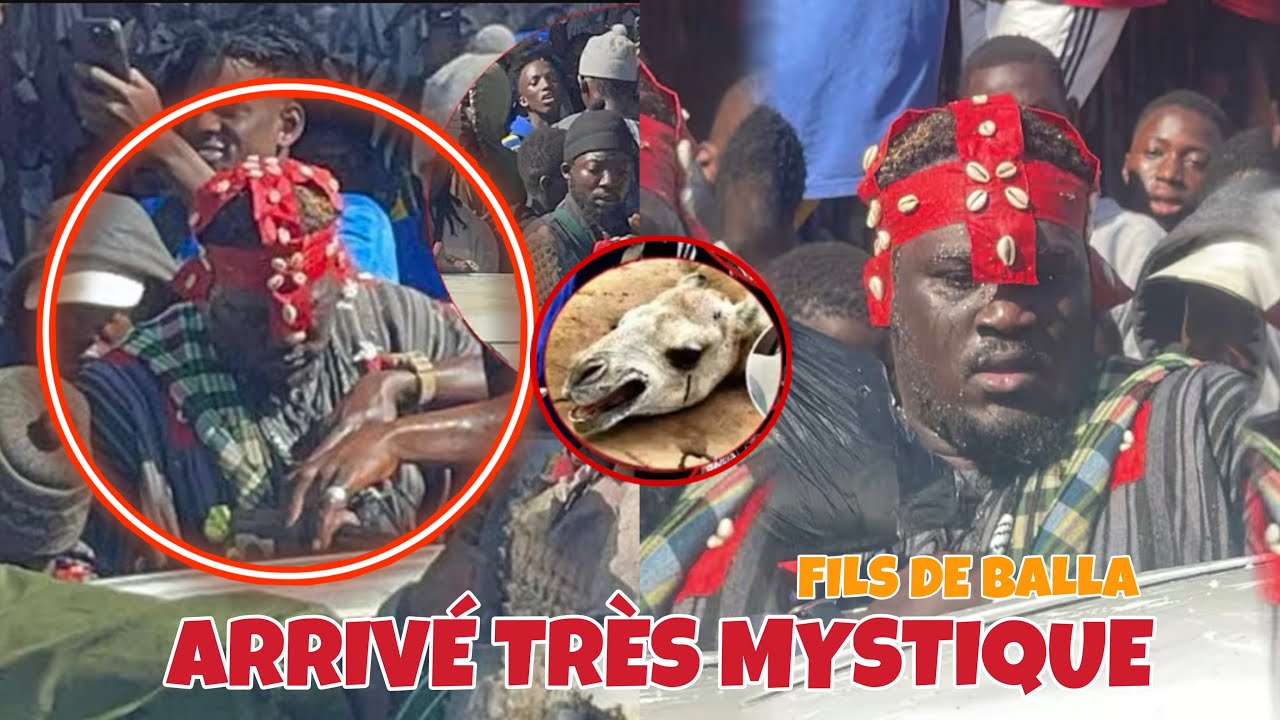 ‼️ALAKHOU Akbar Arrivée très mystique de Fils de Balla-Xolal Limou def si porte stade bi Ho grawna
