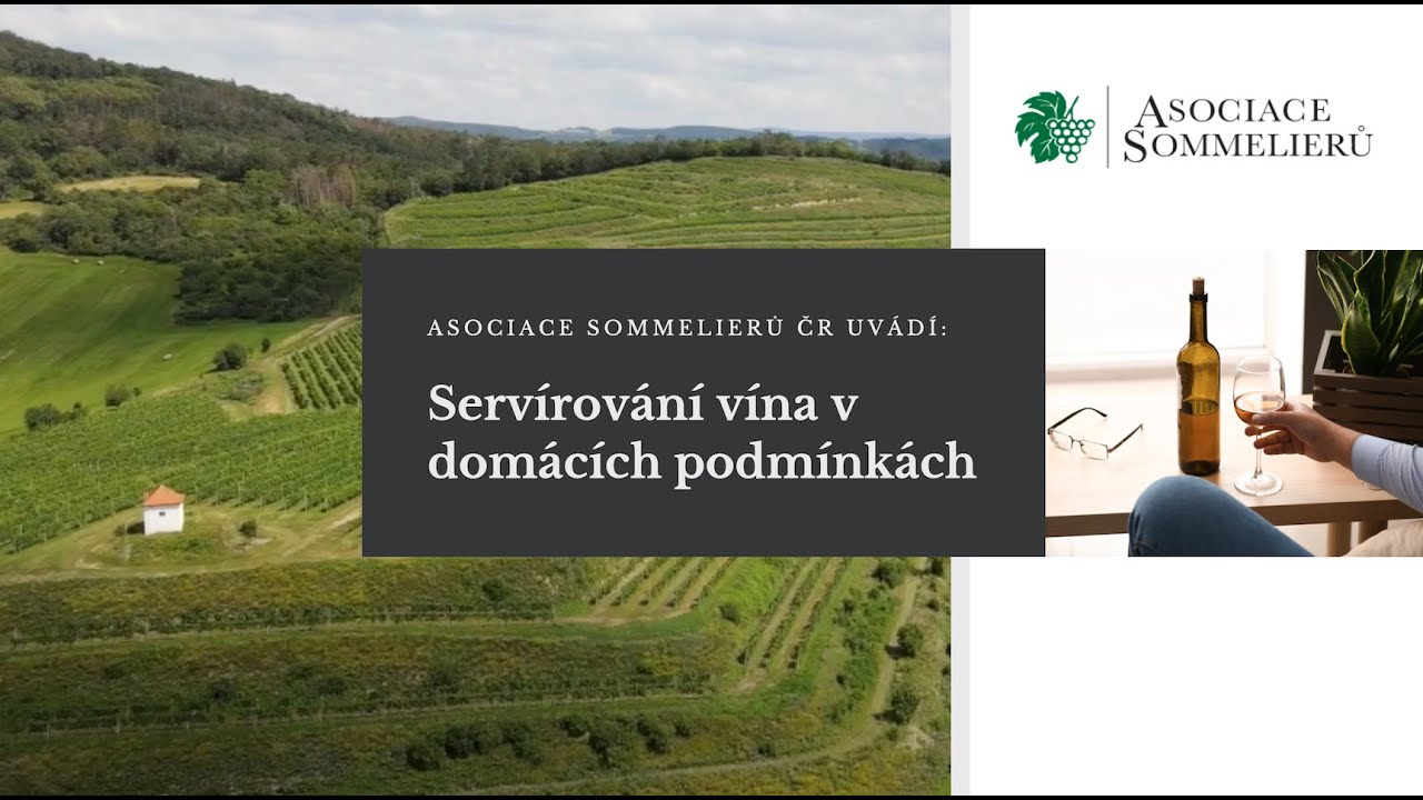 Asociace sommelierů ČR uvádí: Servírování vína v domácím prostředí