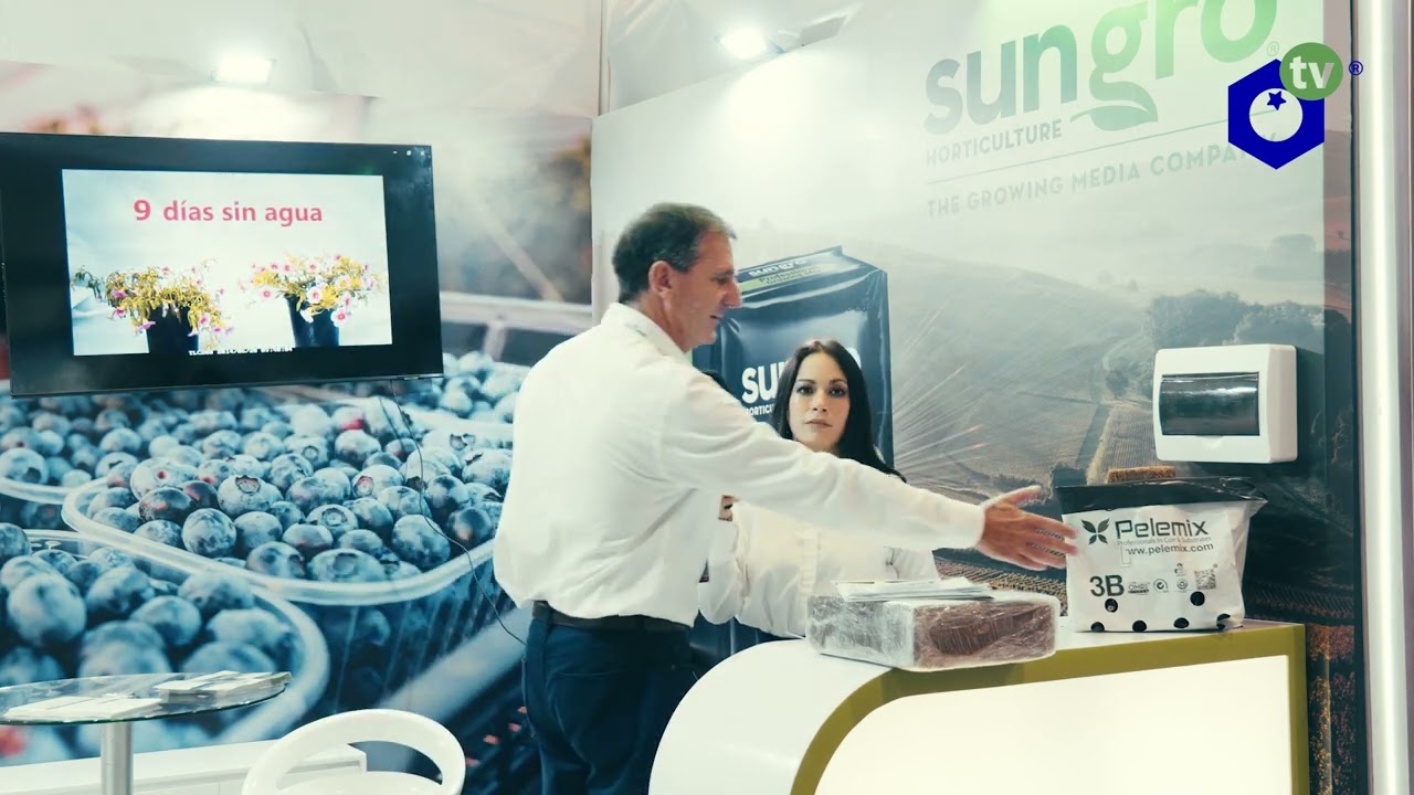Pelemix – XXXIX Seminario Internacional de Blueberries Lima - Perú 2026