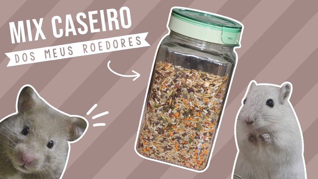 MIX CASEIRO dos meus hamsters e gerbis