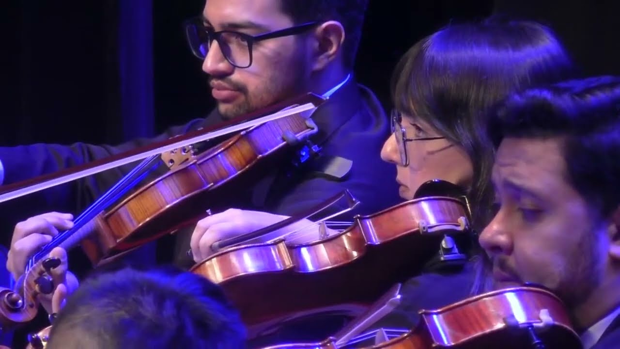 Carol of the Bells | Orquestra de Câmara