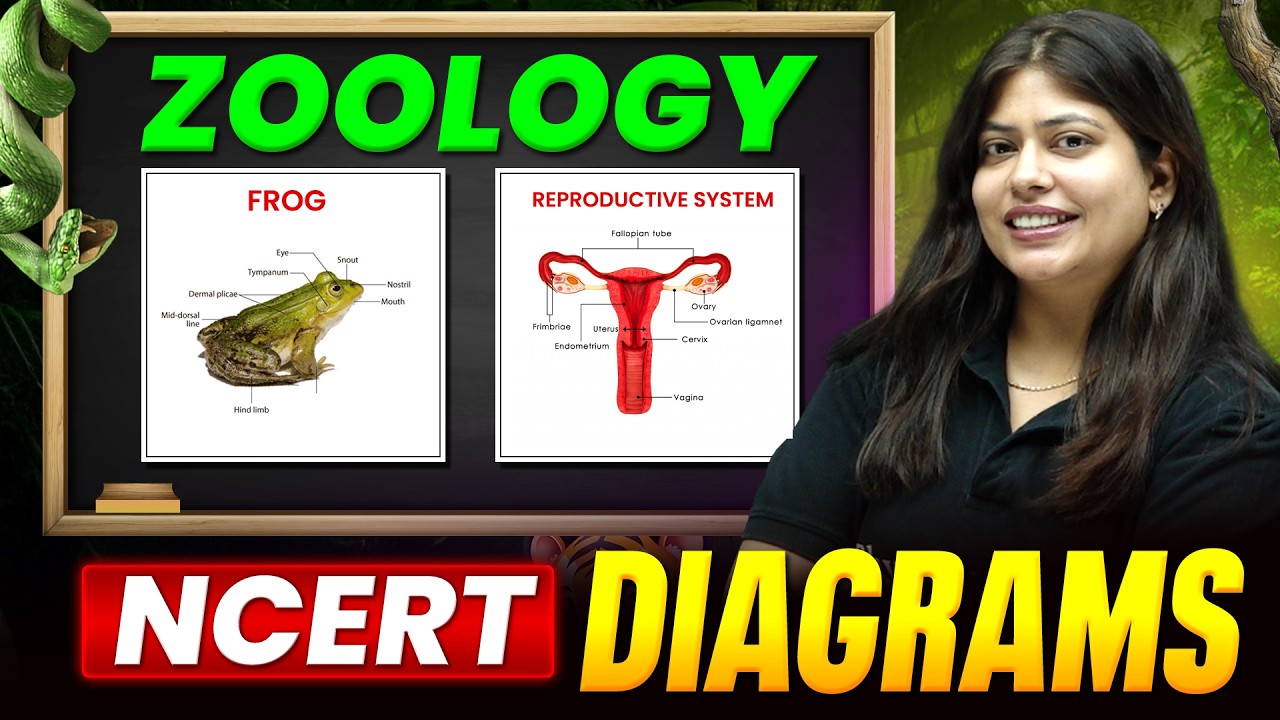 Complete ZOOLOGY NCERT Diagram in One Shot🔥 | NEET 2026