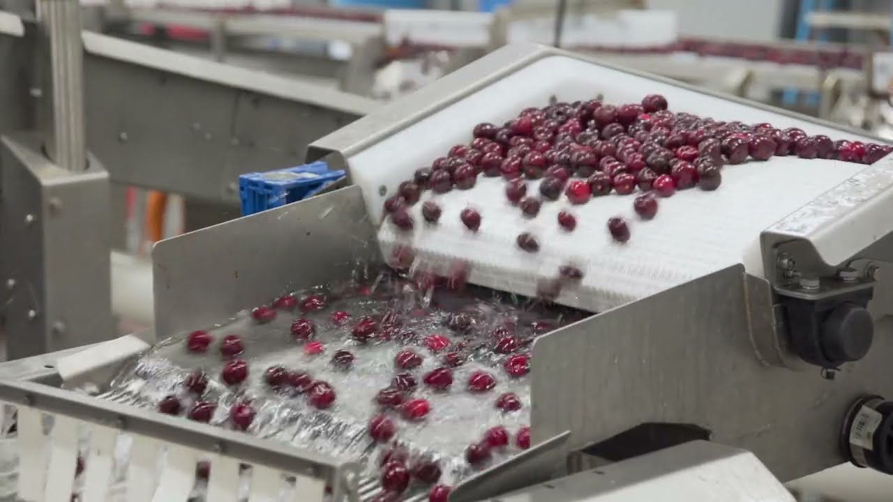 Video Production for Agriculture & Food Processing | Local Seattle Video Agency | Unified Cinematic
