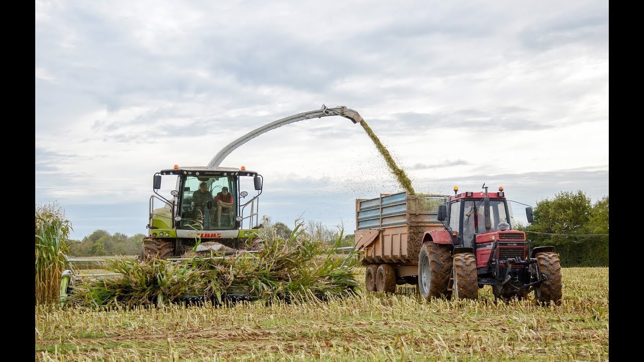 Ensilage ma&iuml;s 2017 I Jaguar 960 I 1455XL  !!