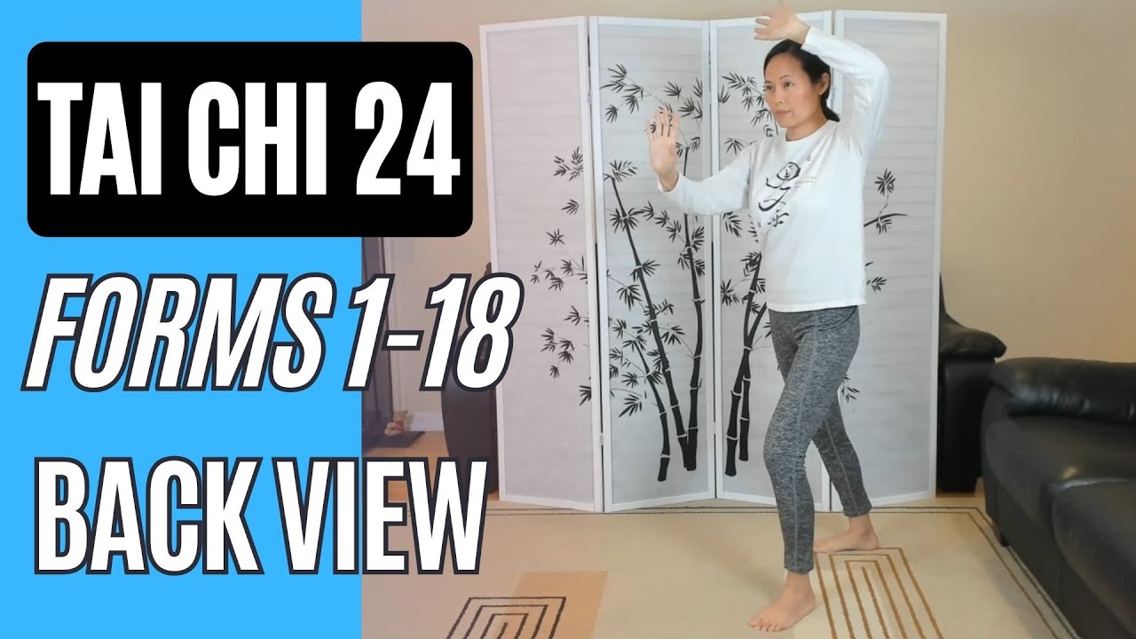 Tai Chi 24, Forms 1-18 Back View Up to Fair Lady Plays Shuttle