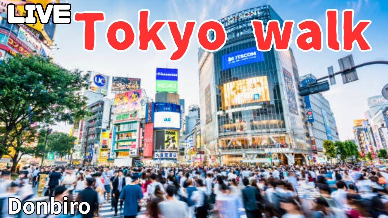 [東京散歩]新宿から、原宿、渋谷まで歩く✨[Tokyo Walk] Walk from Shinjuku to Harajuku and Shibuya✨