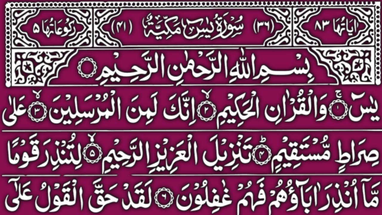 Surah Yaseen 3 Times Recitation | Episode 173 | Beautiful Quran Tilawat | Heart Touching Voice