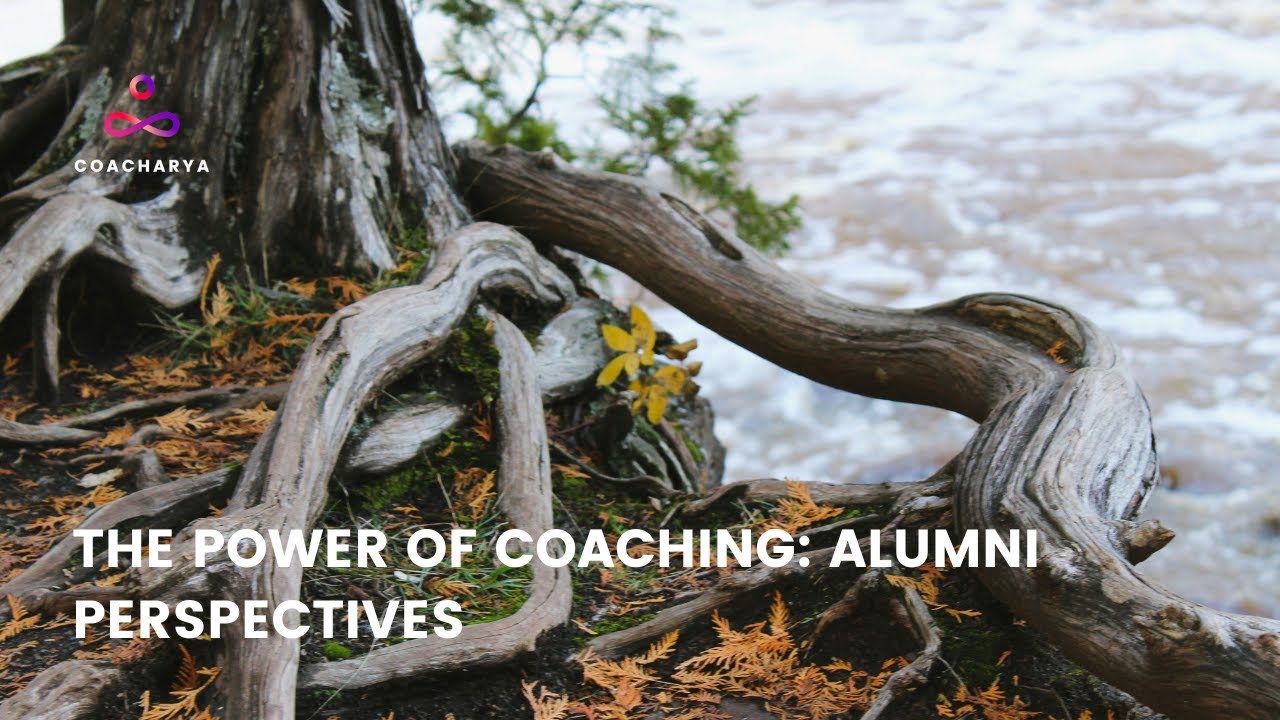 The Power of Coaching   Alumni Perspectives