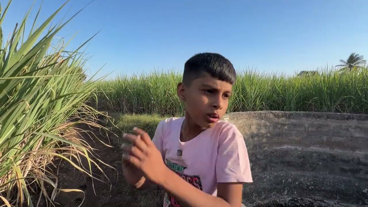 उसाच्या बांधावरून येताना माऊलीवर अचानक हल्ला 😳