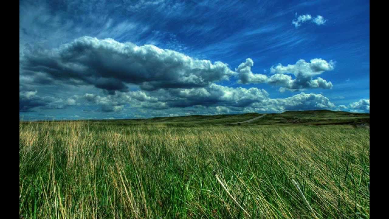 Ralf Illenberger: 'Fields Of Love / Afterglow' CD: The Kiss