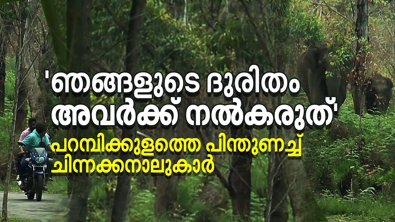 വന്യജീവികളുമായി കൂട്ടുകൂടുന്ന പറമ്പിക്കുളം, സംഘർഷഭൂമിയായ ചിന്നക്കനാൽ | Chinnakanal | Parambikulam