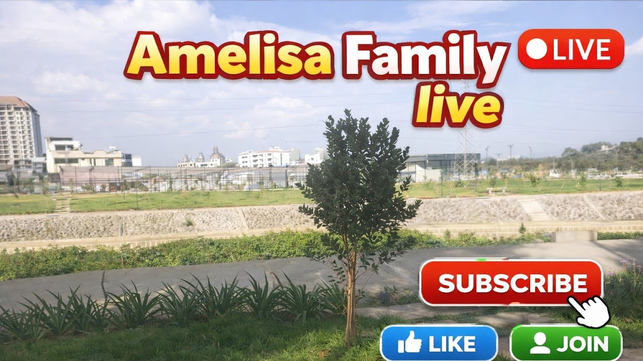Amelisa Family አመሊሳ ፋሚሊ is live!#ስለ ዩቲዩብ እንወያይ ኑ በደንብ እናውራ|ዩቲዩብ ላይ ምን ብናደርግ ነው የሚሳካልን✅