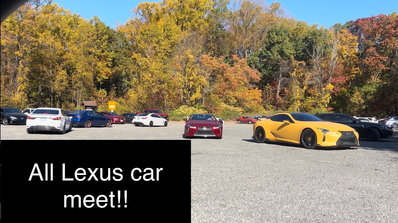 Встреча автомобилей Lexus F и Cruise, 2024 Все встречи автомобилей Lexus!