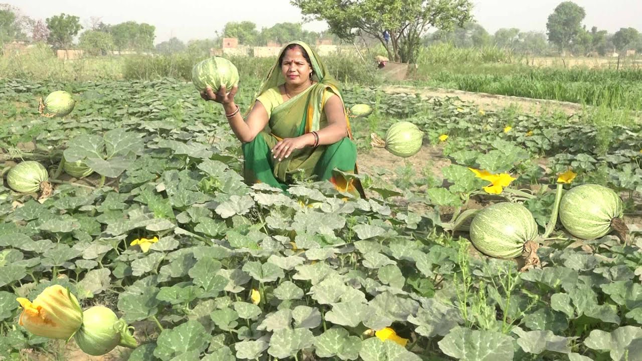 कद्दू की सब्जी पूरी के साथ मिलजाए तो मुंह में पानी आ जाए Kaddu ki chatpati sabji