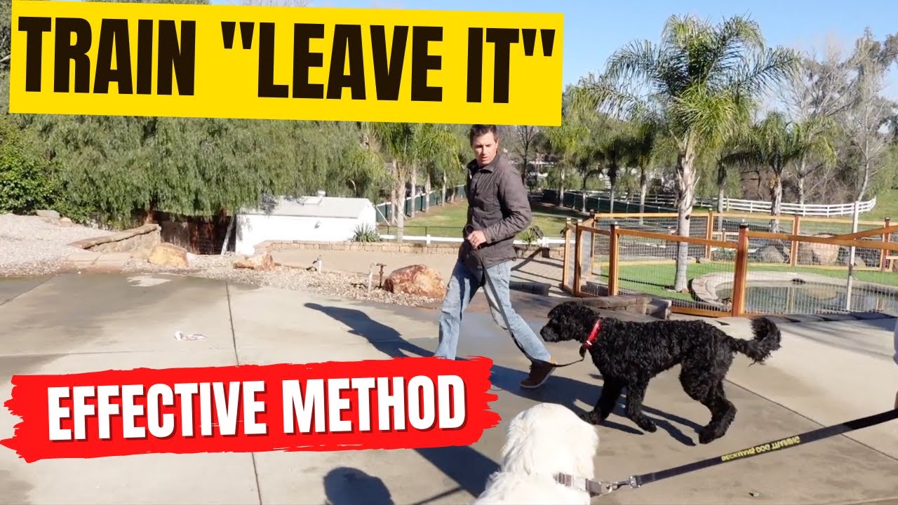 How to train 