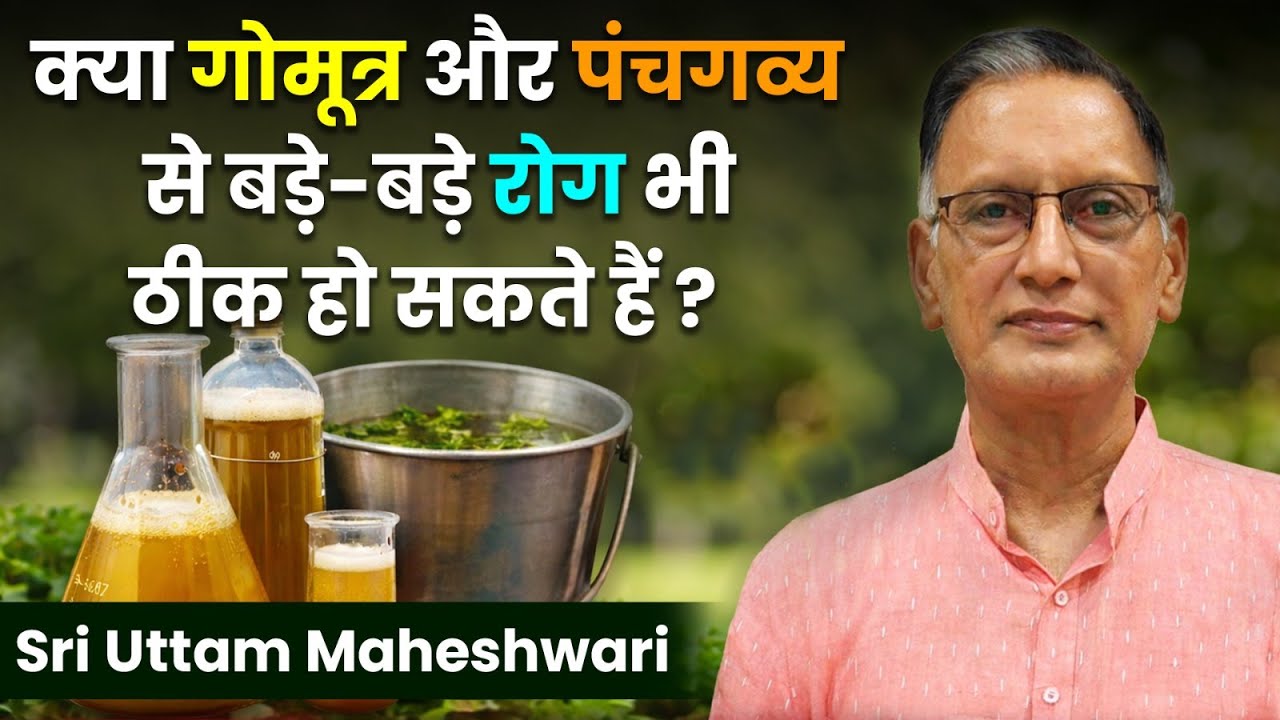 गोमूत्र और पंचगव्य से बड़े-बड़े रोग ठीक? Health Scientist का दावा सुनकर आप भी सोच में पड़ जाएंगे