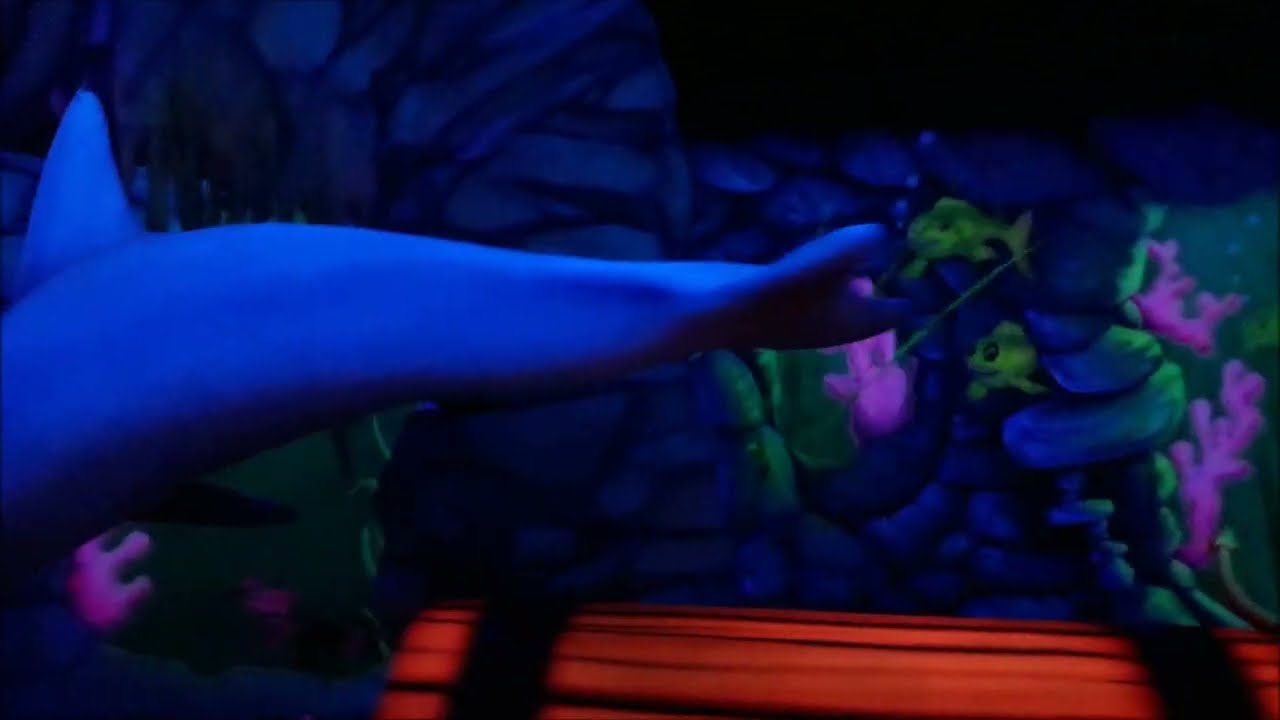 Neptune's Kingdom, Joyland (POV)