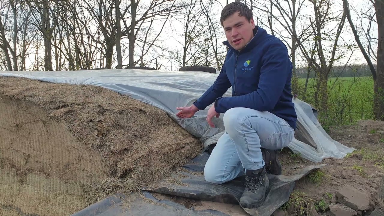 Tips van Ruwvoeradviseur Gerwin: Maak van je eerste snede topgras een topkuil!