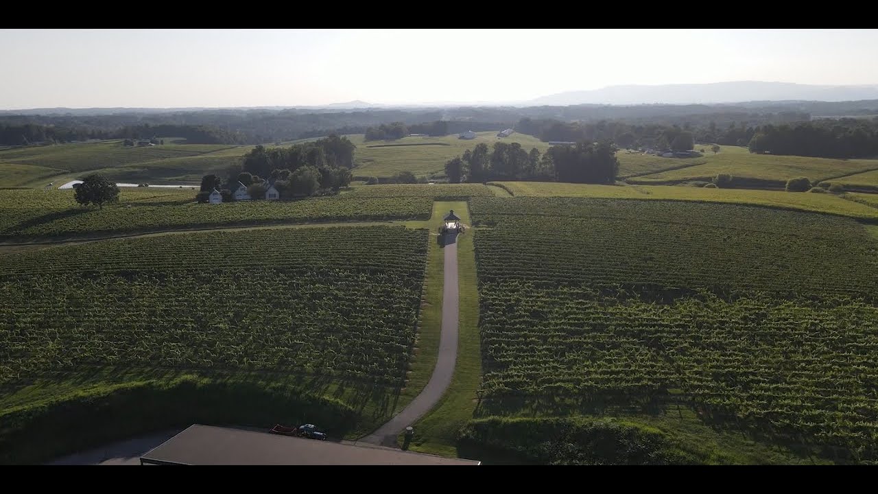 Shelton Vineyards - Savor th