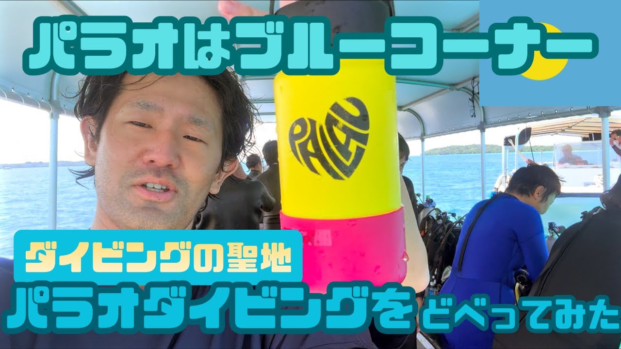 【ミクロネシアひとり旅】パラオダイビングどべり１