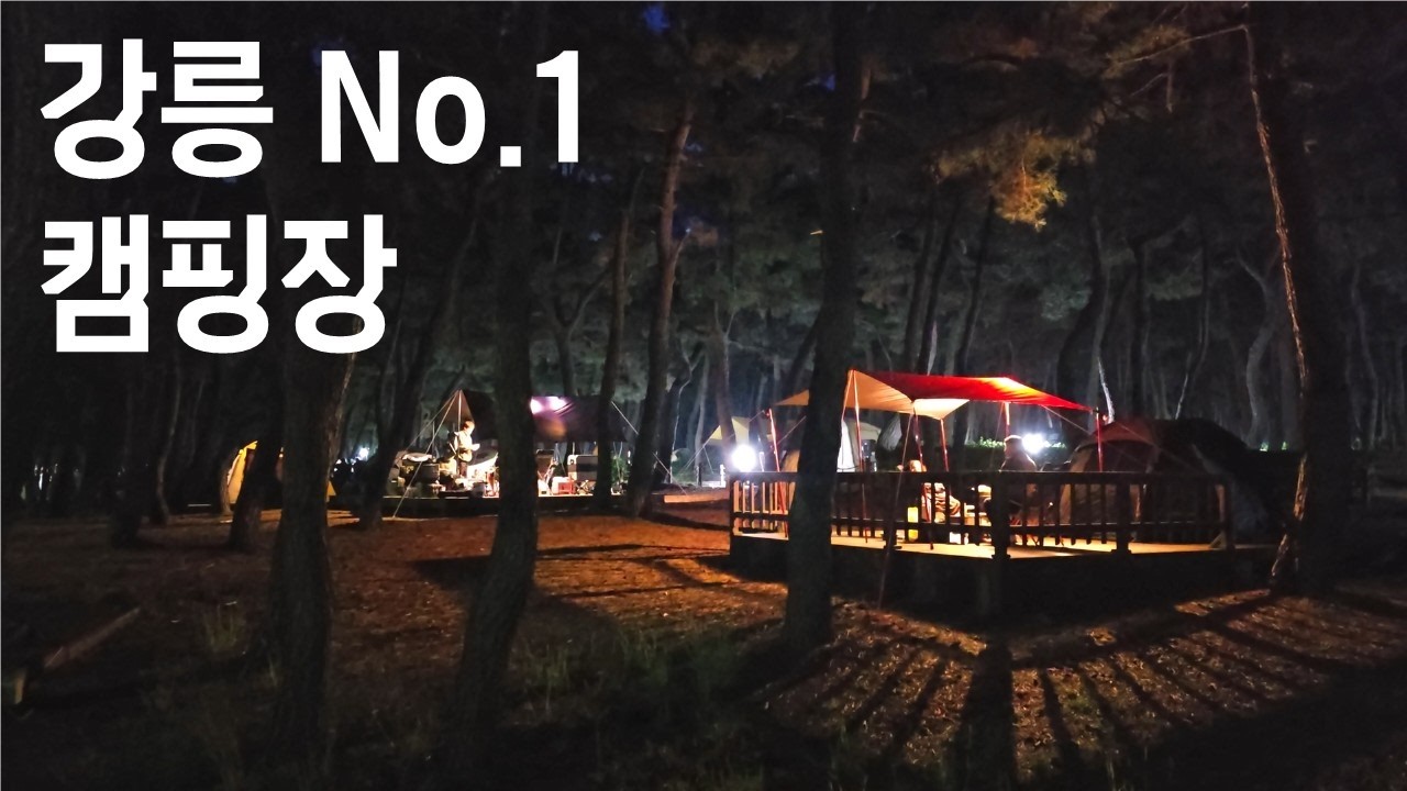 갈때마다 좋은 동해바다 연곡솔향기 캠핑장