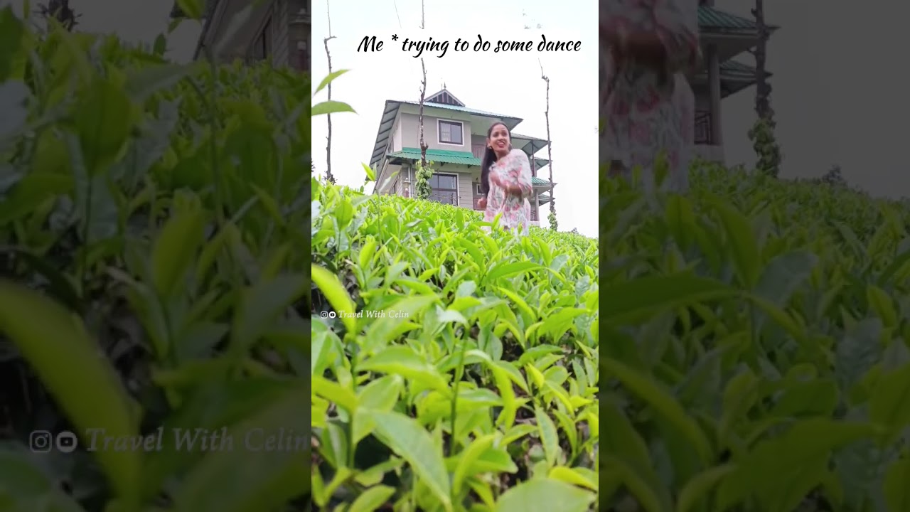 When you fall down during a dance | Private Tea estate #shorts #funny